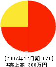 箱田工務所 損益計算書 2007年12月期