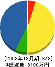シンヨー建設 貸借対照表 2008年12月期