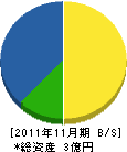 田辺工務店 貸借対照表 2011年11月期