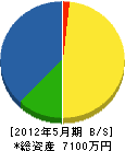 奈須造園 貸借対照表 2012年5月期
