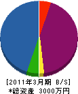 庭弘 貸借対照表 2011年3月期