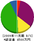 関室内装飾 貸借対照表 2009年11月期