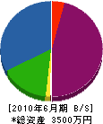 丸五鉄平 貸借対照表 2010年6月期