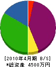 松元組 貸借対照表 2010年4月期