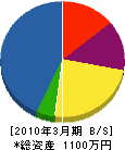 山松開発 貸借対照表 2010年3月期
