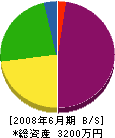 矢沢建設工業 貸借対照表 2008年6月期
