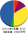 山崎設備 貸借対照表 2012年6月期