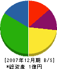 大栄建設 貸借対照表 2007年12月期