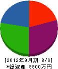 大沢野工業 貸借対照表 2012年9月期