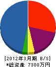 渡辺電業社 貸借対照表 2012年3月期