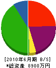 長谷川土建 貸借対照表 2010年6月期