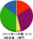 千葉電業舎 貸借対照表 2012年12月期