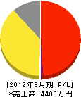 青井グリーン 損益計算書 2012年6月期