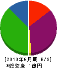 ヤナギサワ 貸借対照表 2010年6月期