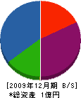 臼井産業 貸借対照表 2009年12月期