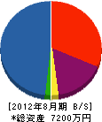 東九州電設 貸借対照表 2012年8月期
