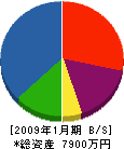 菅野電気 貸借対照表 2009年1月期
