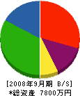 三倉工業 貸借対照表 2008年9月期