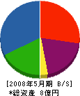 松井建設 貸借対照表 2008年5月期