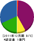 大城商店 貸借対照表 2011年12月期