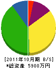 渡辺塗装 貸借対照表 2011年10月期