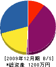 北村舗道 貸借対照表 2009年12月期