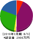 井口鐵工 貸借対照表 2010年3月期