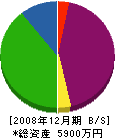 平山工務店 貸借対照表 2008年12月期
