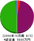 ヘキムラ興産 貸借対照表 2008年10月期