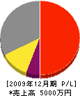 櫻田商店 損益計算書 2009年12月期 櫻田商店 損益計算書 2009年12月期