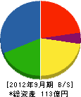豊国工業 貸借対照表 2012年9月期