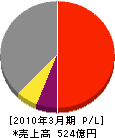 京セラソーラーコーポレーション 損益計算書 2010年3月期