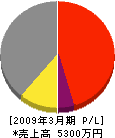 間宮石材 損益計算書 2009年3月期