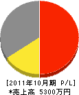 増田建材 損益計算書 2011年10月期