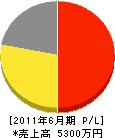 福原総合防災 損益計算書 2011年6月期