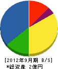 坂井電工 貸借対照表 2012年9月期