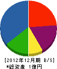 かいづ塗工 貸借対照表 2012年12月期