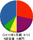 サンシャイン九州本部 貸借対照表 2013年3月期