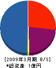 イーピーエス 貸借対照表 2009年3月期