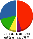 大晃組 貸借対照表 2012年8月期