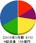 大井電気 貸借対照表 2010年3月期