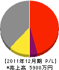 角田塗装工業 損益計算書 2011年12月期