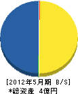 滋賀総合建設 貸借対照表 2012年5月期