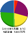 矢光総合設備 貸借対照表 2010年5月期