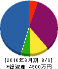 宮崎鉄工 貸借対照表 2010年6月期