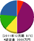 平野設備 貸借対照表 2011年12月期