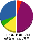 柴田電機 貸借対照表 2011年8月期