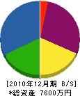 平井組 貸借対照表 2010年12月期