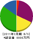 椛沢リース 貸借対照表 2011年3月期