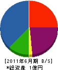 武生テック 貸借対照表 2011年6月期